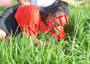 Désintox: les images des gens consommant de l’herbe n’ont aucun rapport avec la Covid-19