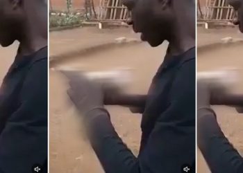 La vidéo de l’homme qui tue un chat avec ses dents répertoriée sur un blog zimbabwéen